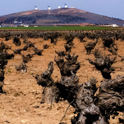 Enoturismo-Bodega-la-Tercia-4
