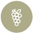 Icon-uva3